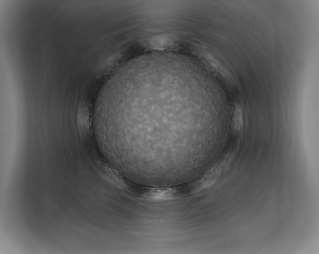 X0000111480569200907210951
