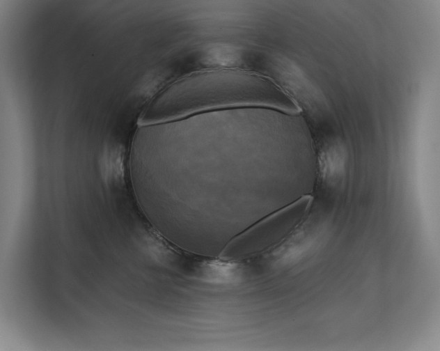 X0000111480570200907210951