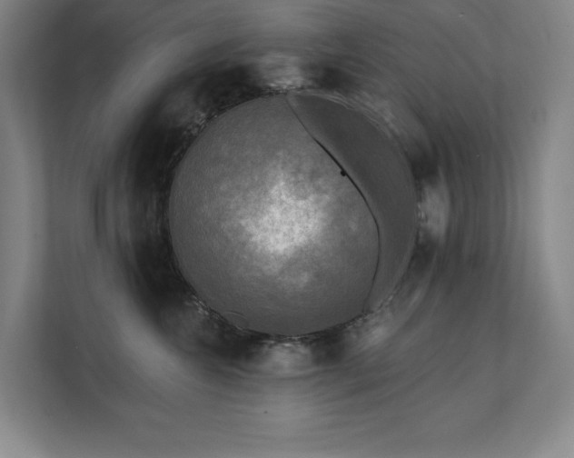 X0000111480572200907210951