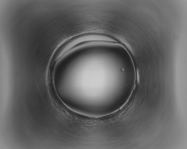 X0000111480579200907210950