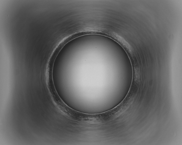 X0000111480580200907210950