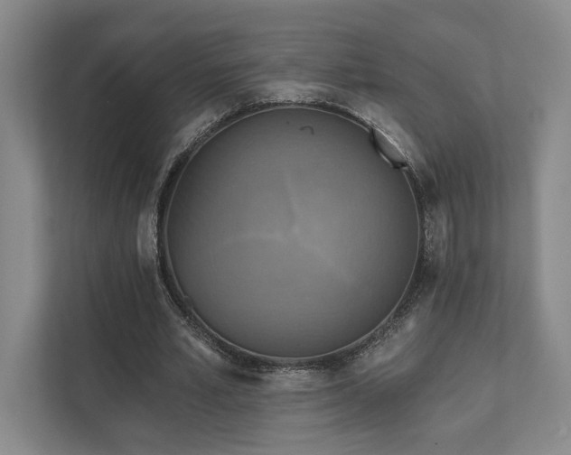 X0000111480581200907210950
