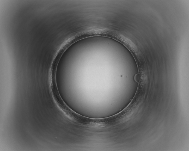 X0000111480582200907210950