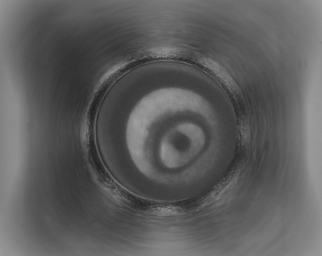 X0000111480583200907210950