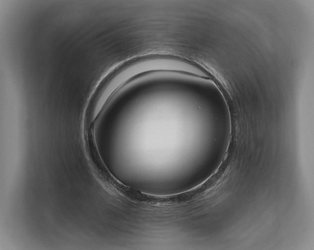 X0000111480584200907210950