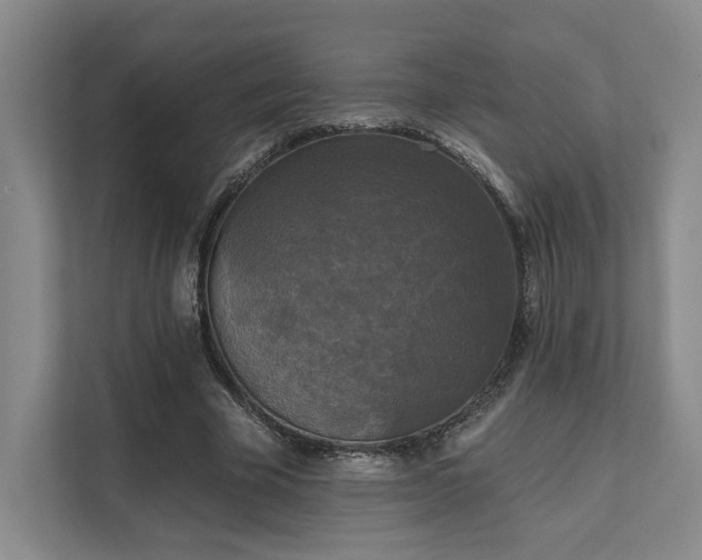 X0000111480585200907210950
