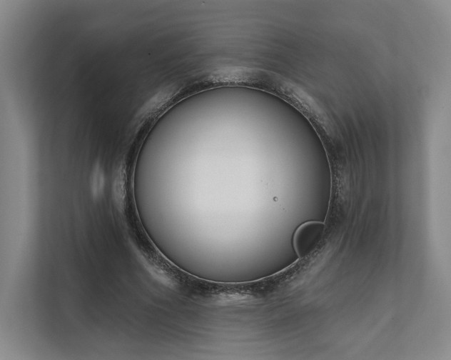 X0000111480586200907210950