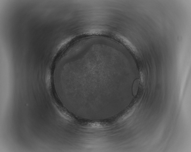 X0000111480588200907210950