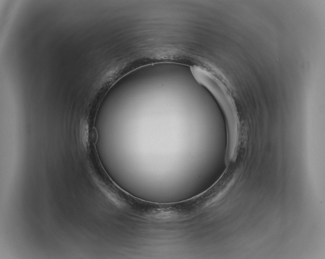 X0000111480589200907210950