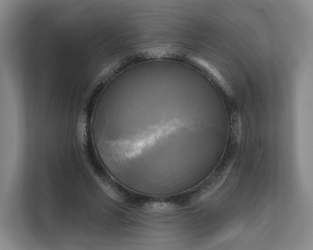 X0000111480590200907210950