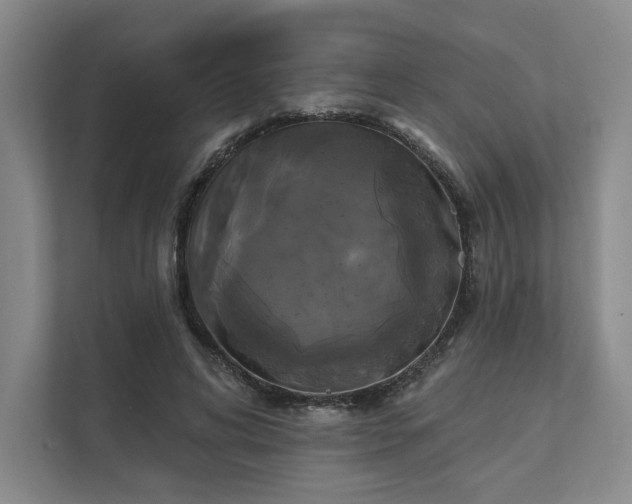 X0000111480592200907210950
