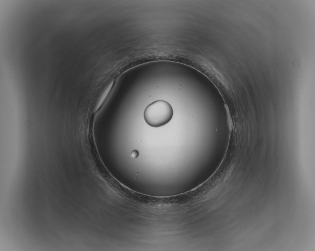 X0000111480593200907210950
