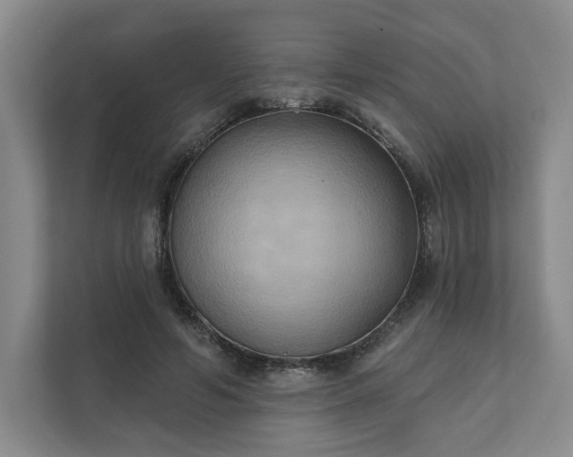 X0000111480594200907210950