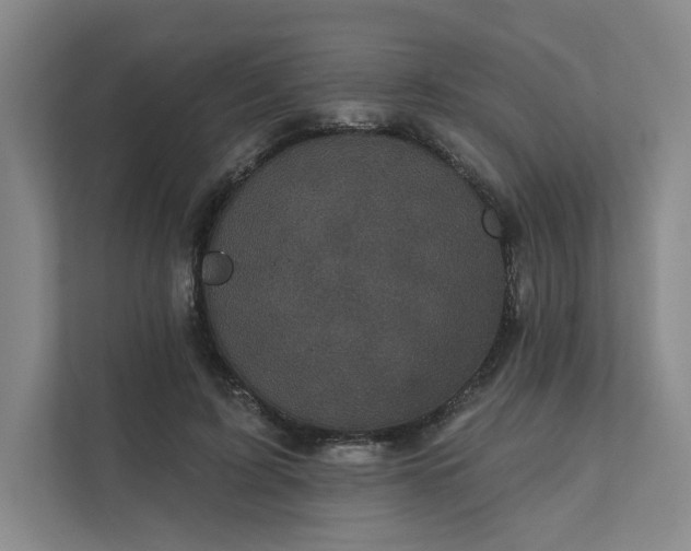 X0000111480595200907210950
