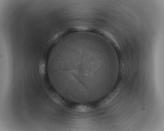 X0000111480596200907210950