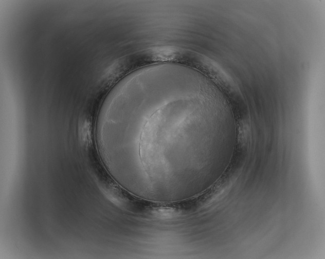 X0000111480598200907210950