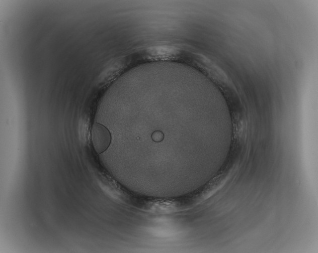 X0000111480599200907210950