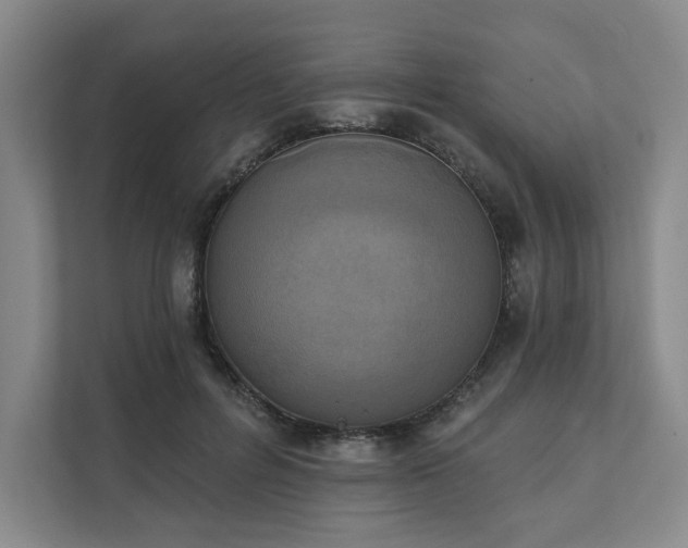 X0000111480600200907210950