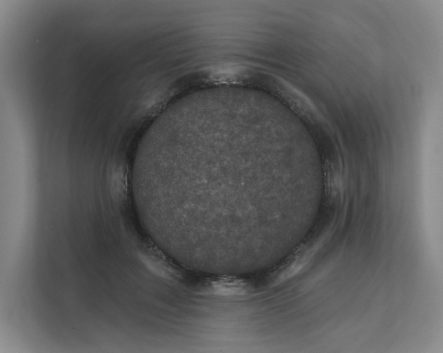 X0000111480603200907210950
