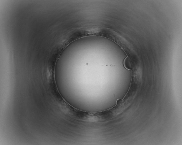 X0000111480608200907210950