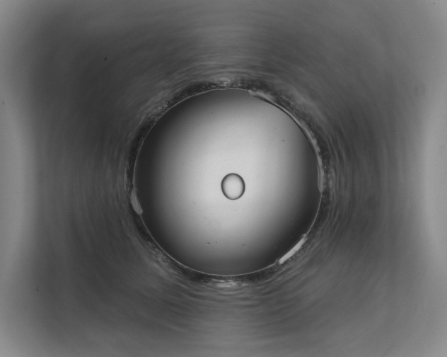 X0000111480611200907210950