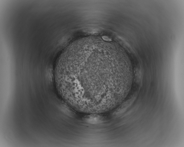 X0000111480612200907210950