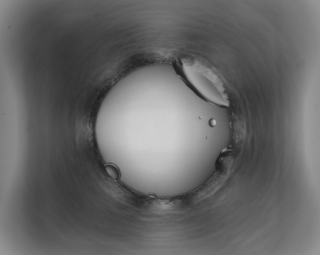 X0000111480613200907210950