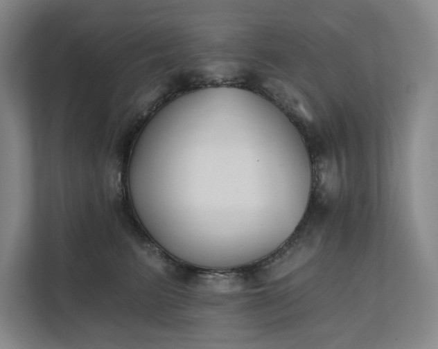 X0000111480615200907210950