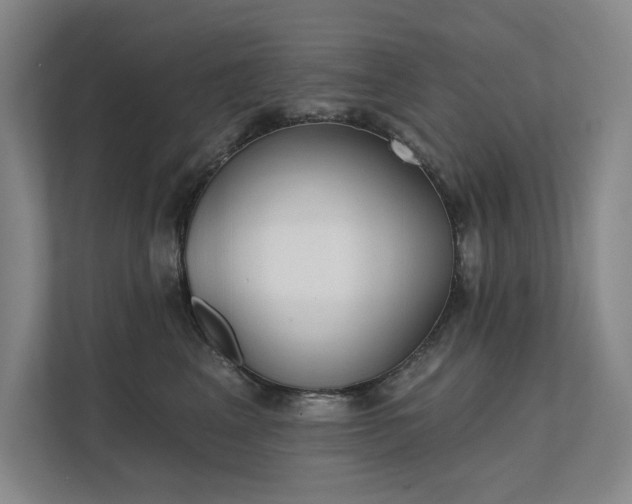 X0000111480617200907210950