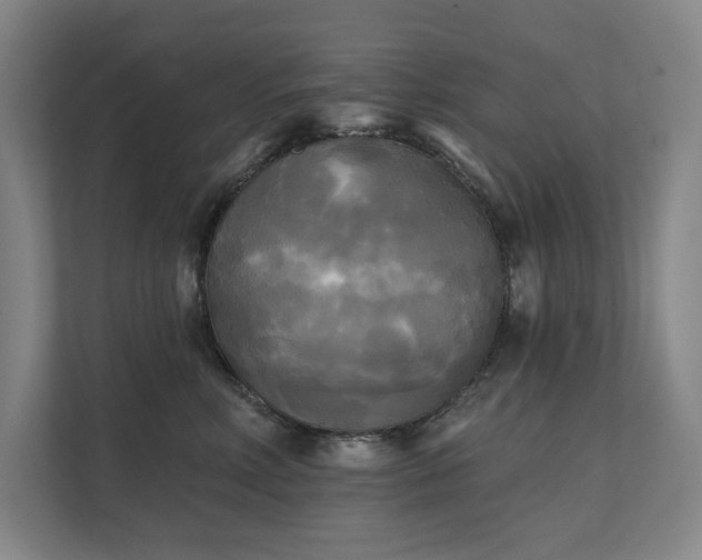 X0000111480618200907210950