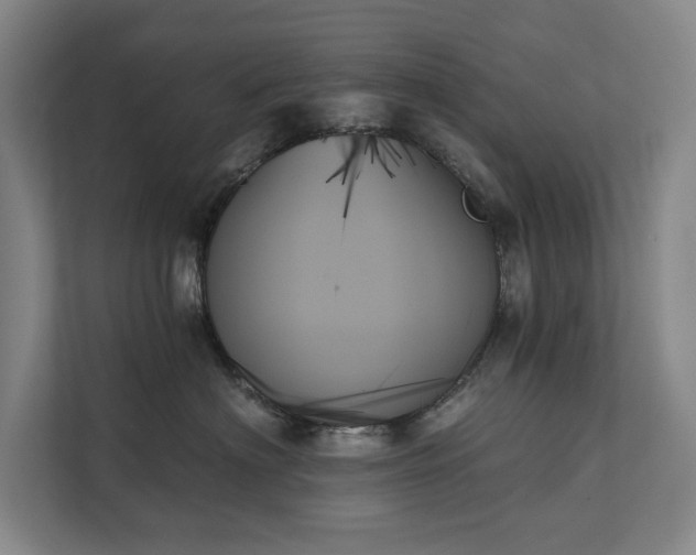 X0000111480622200907210950