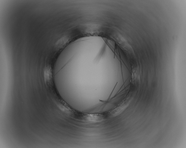 X0000111480623200907210950
