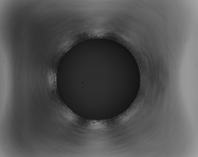 X0000111480624200907210950