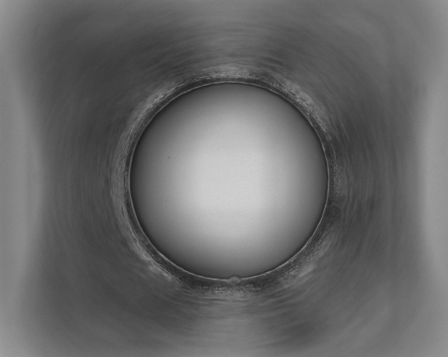 X0000111480625200907210949
