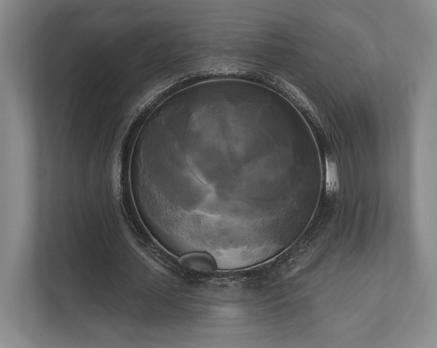 X0000111480627200907210949