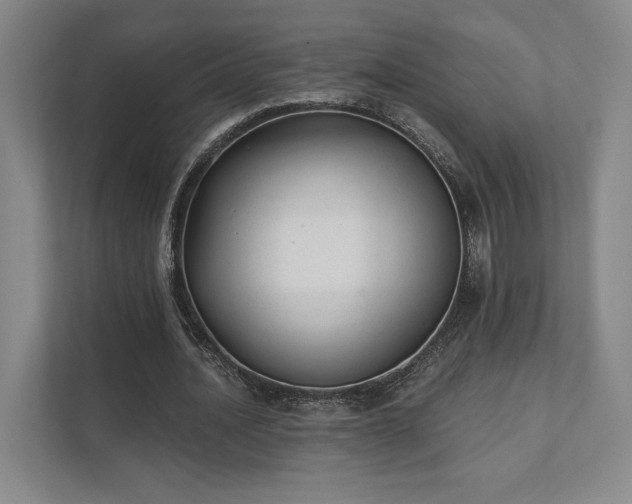 X0000111480628200907210949