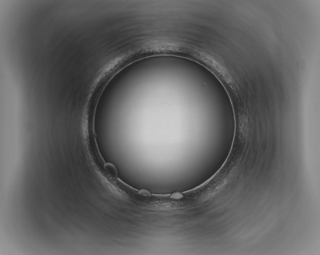 X0000111480629200907210949