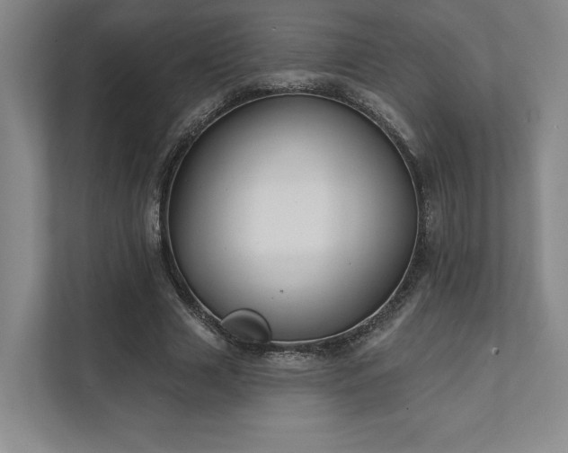X0000111480633200907210949