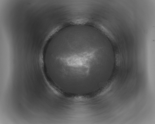 X0000111480634200907210949