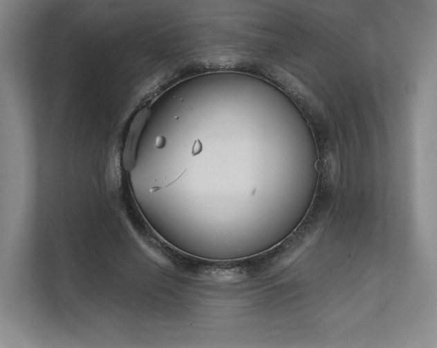 X0000111480638200907210949