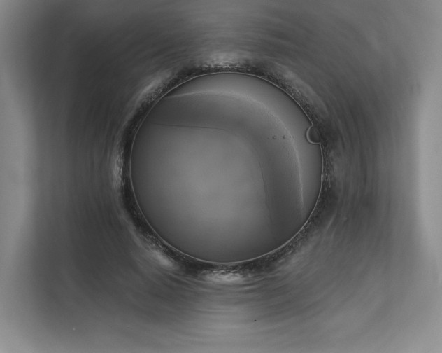 X0000111480640200907210949