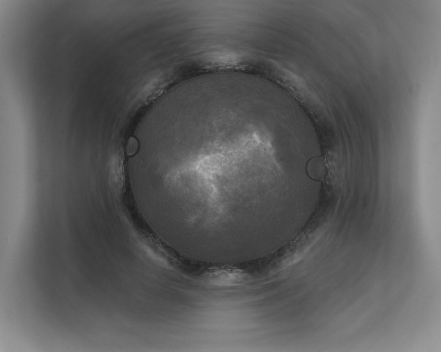 X0000111480642200907210949
