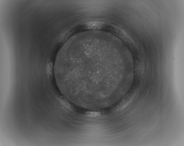 X0000111480649200907210949