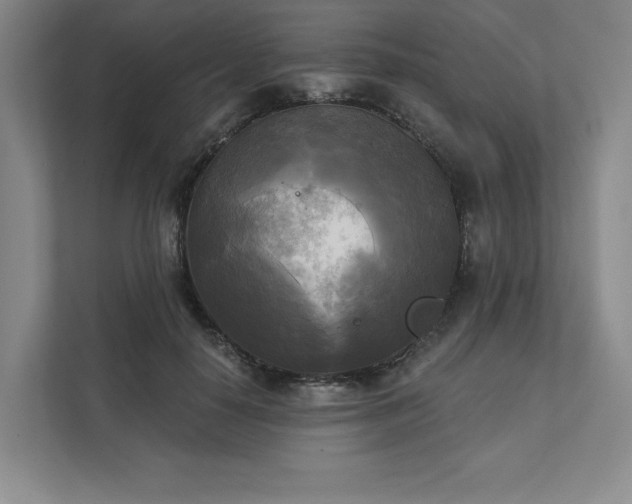 X0000111480650200907210949