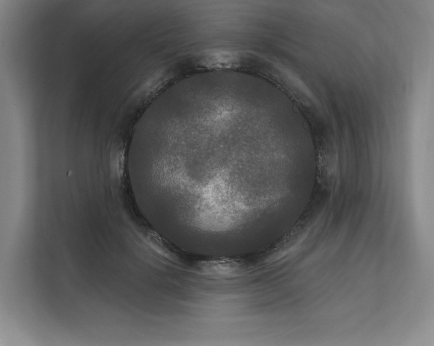 X0000111480652200907210949