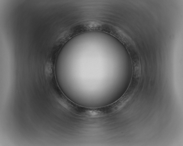 X0000111480654200907210949