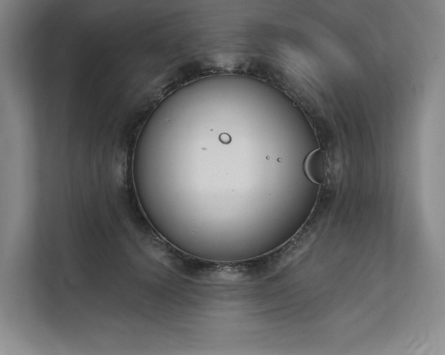 X0000111480656200907210949