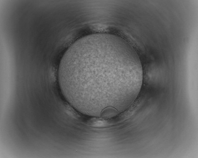 X0000111480658200907210949