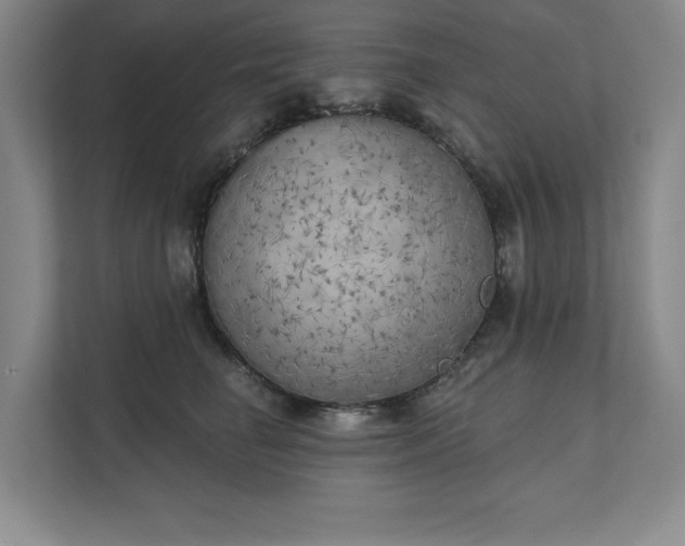X0000111480662200907210949