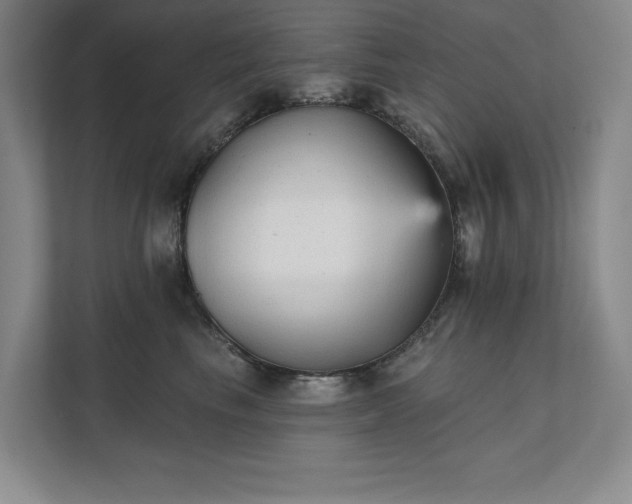 X0000111480665200907210949